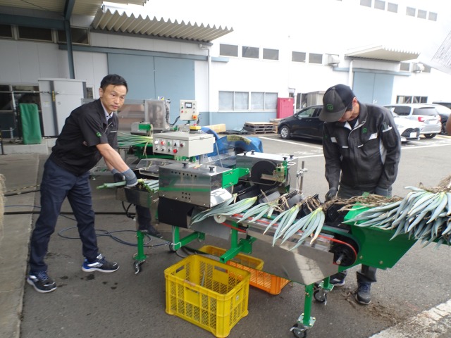 マツモト、新型長ネギ根葉切り皮むき機「ベストロボスマートX（MBX-1型）」を発表｜自動位置合わせで高精度・高収益を実現